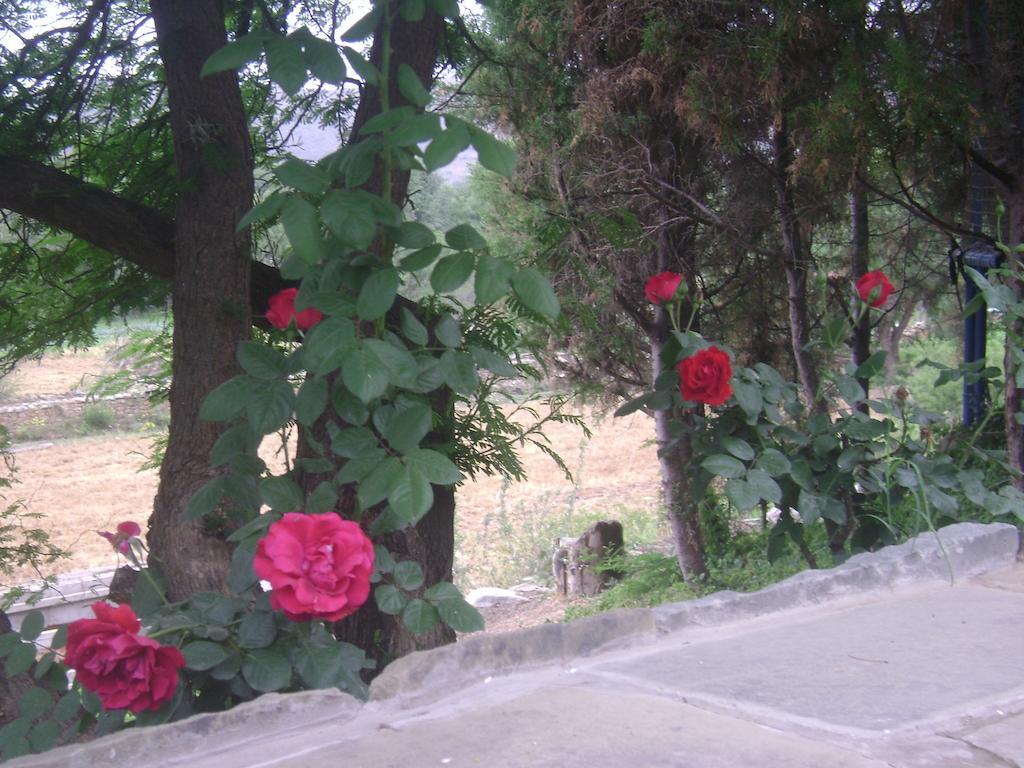 La Pasarela Hotel Тариха Екстериор снимка